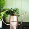 Copper Indoor Watering Can -Garden Care Supplies 8593724 5369 tif
