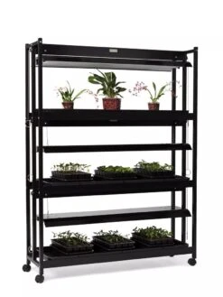 High Intensity 3-Tier SunLite® Garden -Garden Care Supplies 8593944 1608 tif
