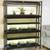 High Intensity 3-Tier SunLite® Garden