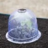 Medium Garden Cloches, Set Of 6 -Garden Care Supplies 8593985 347 tif