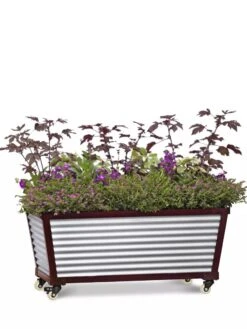 Short Galvanized Self-Watering Trough Planter 5 Short Galvanized Self-Watering Trough Planter -Garden Care Supplies 8594329 5065 tif