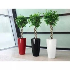 Lechuzaยฎ Rondo Self-Watering Planters