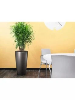 Lechuza® Rondo Self-Watering Planters -Garden Care Supplies 8594586 02V tif