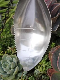 Dirty Little Diggerβ’