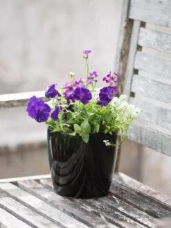 Viva Round Self-Watering Planter, 7" Diameter -Garden Care Supplies 8595222 1140 tif