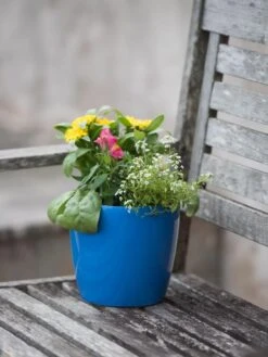 Viva Round Self-Watering Planter, 7" Diameter -Garden Care Supplies 8595222 1143 tif