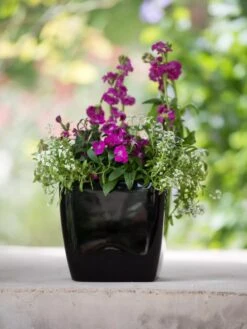 Viva Square Self-Watering Planter, 7" Diameter -Garden Care Supplies 8595223 1107 tif