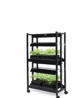 LED SunLite® Compact 2-Tier Garden -Garden Care Supplies 8595556 10132 tif