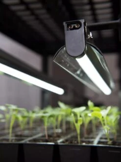 LED Stack-n-Grow Lights - Base Unit -Garden Care Supplies 8595770 7346 tif