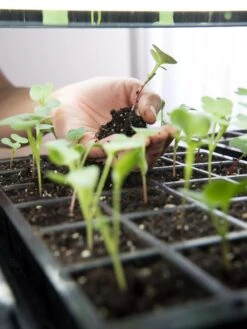 LED Stack-n-Grow Lights - Base Unit -Garden Care Supplies 8595770 7373 tif