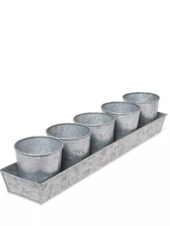 Galvanized Herb Planters With Rectangular Tray -Garden Care Supplies 8595903 3924 tif
