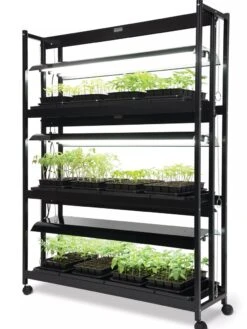LED SunLite® High Intensity 3-Tier Garden -Garden Care Supplies 8596024 10201 tif
