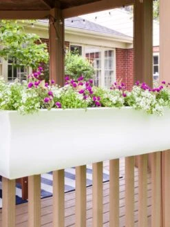 Valencia Window Box, 4' -Garden Care Supplies 8596437 006V tif