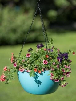 Viva Self-Watering Hanging Basket, 14" Diameter -Garden Care Supplies 8596442 0859 tif