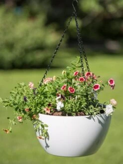 Viva Self-Watering Hanging Basket, 14" Diameter -Garden Care Supplies 8596442 0864 tif
