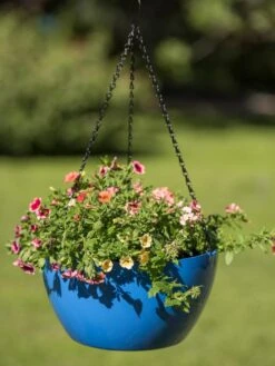 Viva Self-Watering Hanging Basket, 14" Diameter -Garden Care Supplies 8596442 0876 tif