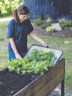 Pop-Up Crop Protector -Garden Care Supplies 8596763 EasyCropProtector gif