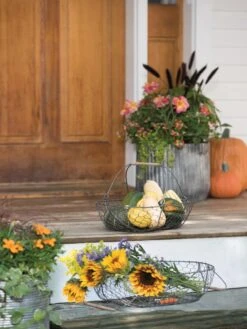 Galvanized Rim Planters -Garden Care Supplies 8597379 1625 tif