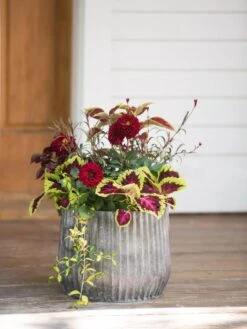 Galvanized Ribbed Planters -Garden Care Supplies 8597435 1693 tif