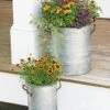 Galvanized Rim Planters -Garden Care Supplies 8597442 1700 tif