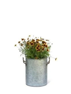 Galvanized Rim Planters -Garden Care Supplies 8597442 1705 tif