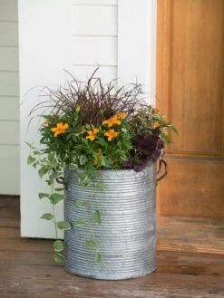 Galvanized Rim Planters -Garden Care Supplies 8597443 1708 tif