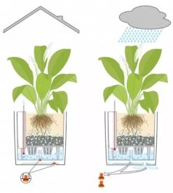 Lechuza® Cube Premium Planters -Garden Care Supplies 8597506 05V tif