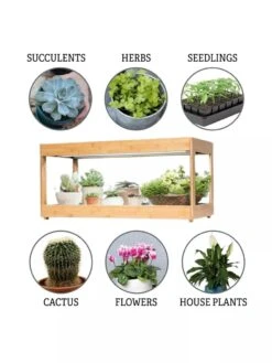 Low Bamboo LED Grow Light Garden 19 Low Bamboo LED Grow Light Garden -Garden Care Supplies 8597720 3