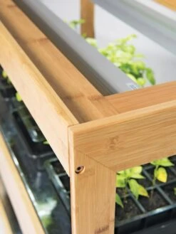 Medium Bamboo LED Grow Light Garden -Garden Care Supplies 8597720 7795 tif