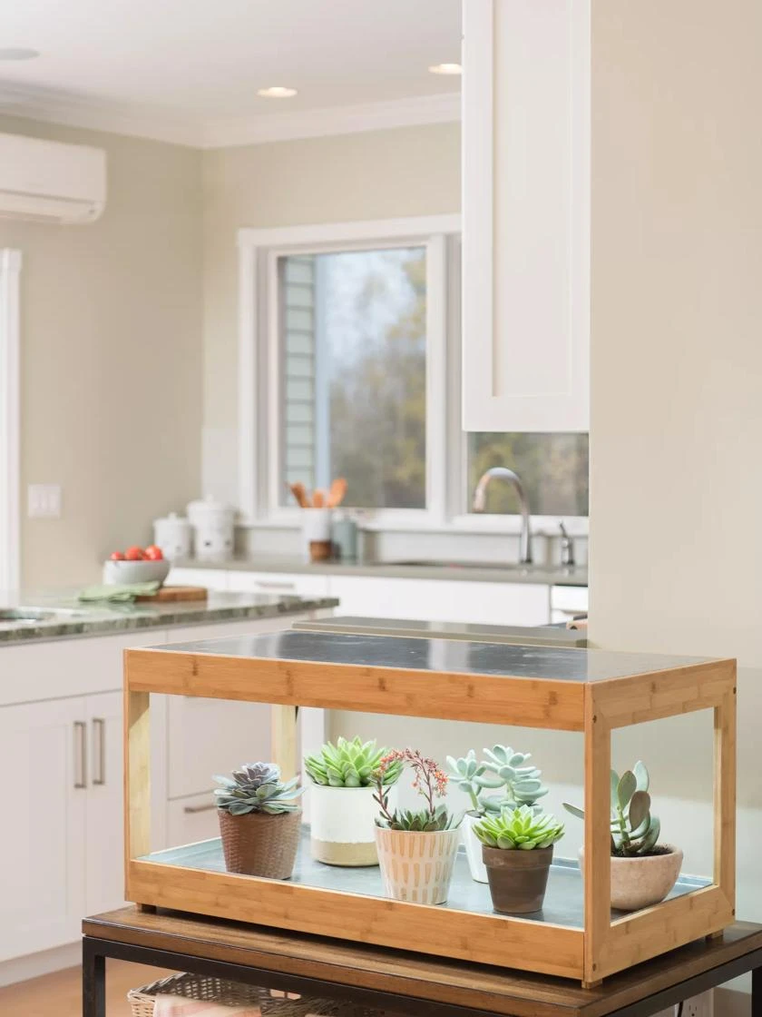 Low Bamboo LED Grow Light Garden 12 Low Bamboo LED Grow Light Garden - Image 10