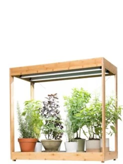 Medium Bamboo LED Grow Light Garden -Garden Care Supplies 8597883 1011 tif