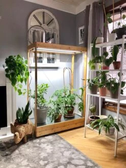 Tall Bamboo LED Grow Light Garden -Garden Care Supplies 8597884 01IN tif