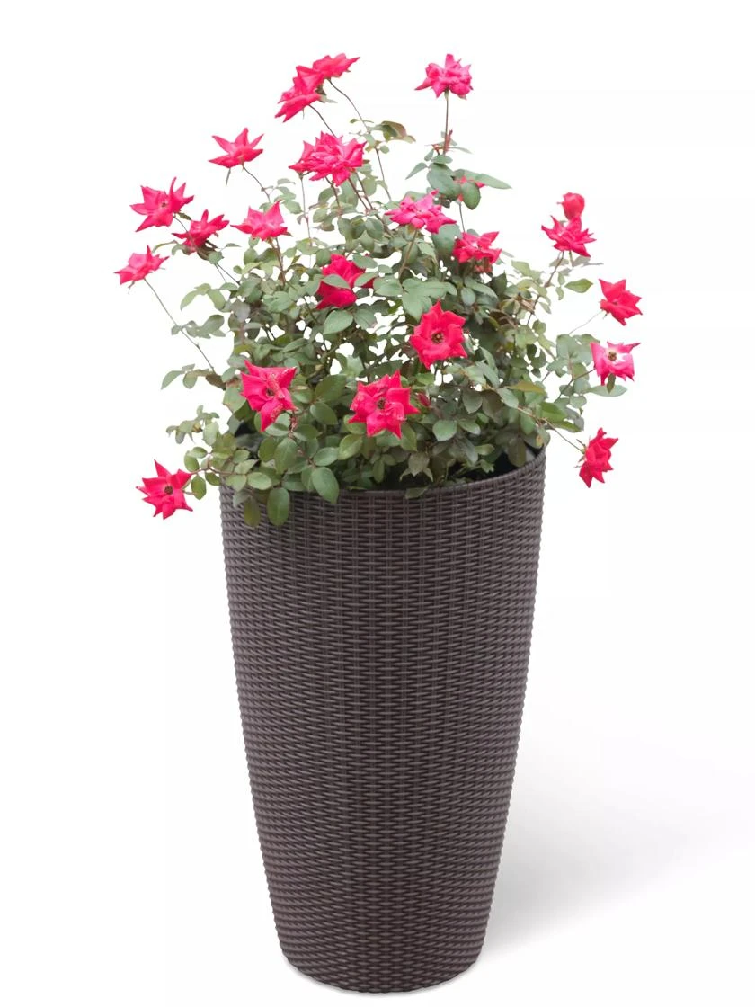 Weave Self-Watering Round Tall Planter, 12-1/2" 3 Weave Self-Watering Round Tall Planter, 12-1/2"