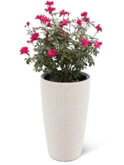 Weave Self-Watering Round Tall Planter, 12-1/2" 5 Weave Self-Watering Round Tall Planter, 12-1/2" -Garden Care Supplies 8598371 3002 tif