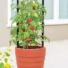Gardener’s Victory Self-Watering Planter With Support System -Garden Care Supplies 8598384 6012 tif