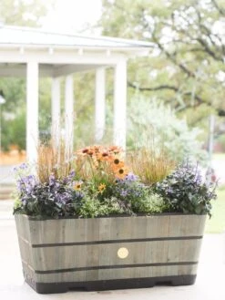 VegTrug™ Trough Planters -Garden Care Supplies 8598402 08880 tif