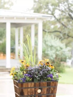 VegTrug™ Trough Planters -Garden Care Supplies 8598403 008876 tif