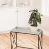 Plant Stand With Galvanized Tray -Garden Care Supplies 8599022 14588 tif