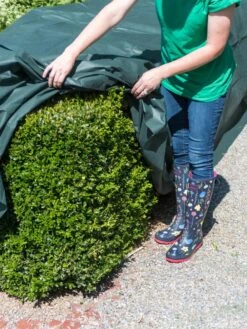 The Planket® Frost Protection Plant Cover, 10' X 20' -Garden Care Supplies 8599101 0929 tif