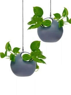 Exaco Euro Hanging Planters, Set Of 2 -Garden Care Supplies 8599179 04V tif