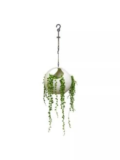 Exaco Euro Hanging Planters, Set Of 2 -Garden Care Supplies 8599179 06V tif