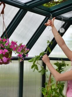 Canopia® By Palram Hobby Gardener Greenhouse, 8' -Garden Care Supplies 8599331 04V tif