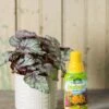 Espoma Indoor! Plant Food 1 Espoma Indoor! Plant Food -Garden Care Supplies 8599786 18457 tif