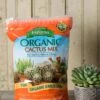 Espoma Cactus Potting Mix, 4 Quart -Garden Care Supplies 8599789 18448 tif