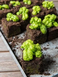 Soil Blocker, 4 Cell -Garden Care Supplies 8599790 1057 tif