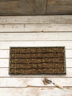 Paper Pots, 50 Cell 12 Paper Pots, 50 Cell -Garden Care Supplies 8599830 18489 tif