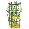 Titan Pepper Eggplant Cages, Set Of 3 2 Titan Pepper Eggplant Cages, Set Of 3 -Garden Care Supplies 8599859 0001 art tif