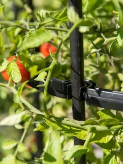 Titan Tomato Cages, Set Of 3 -Garden Care Supplies 8599861 0079 tif