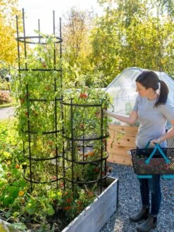 Titan Tomato Cages, Set Of 3 -Garden Care Supplies 8599861 0114 tif