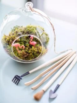 Terrarium Tools, Set Of 4 -Garden Care Supplies 8599884 01V tif